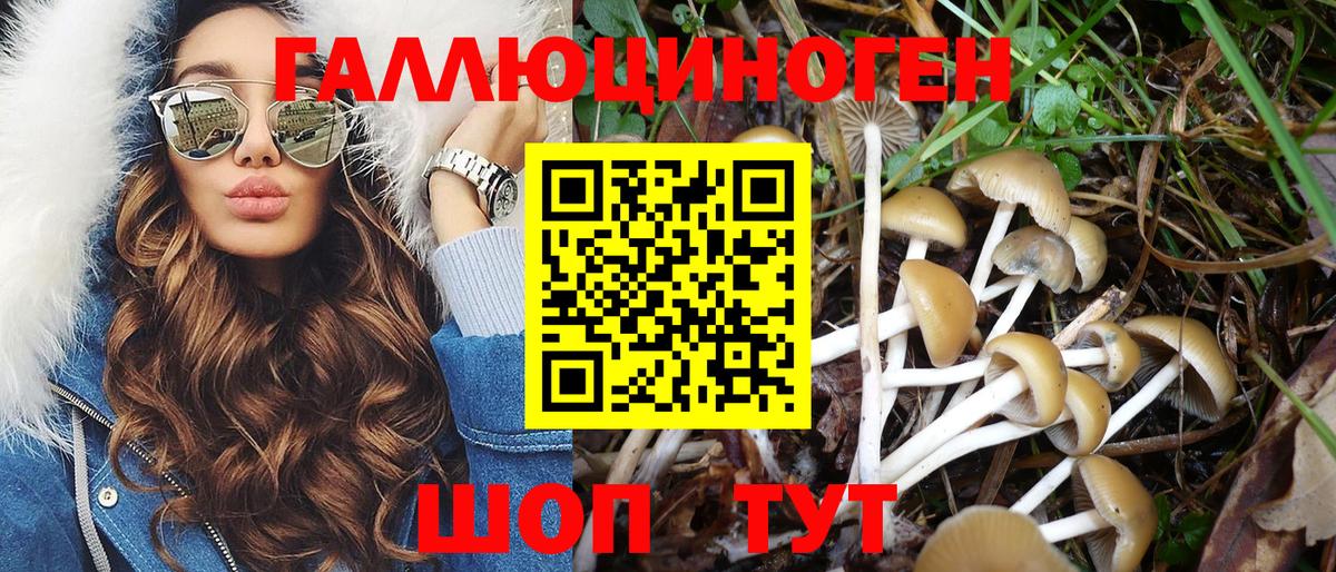 Псилоцибиновые грибы MAGIC MUSHROOMS  Владикавказ 