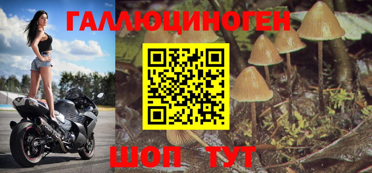 Псилоцибиновые грибы мицелий Владикавказ