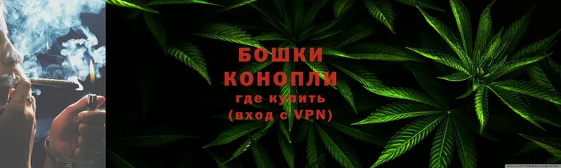 Каннабис Amnesia  Владикавказ 